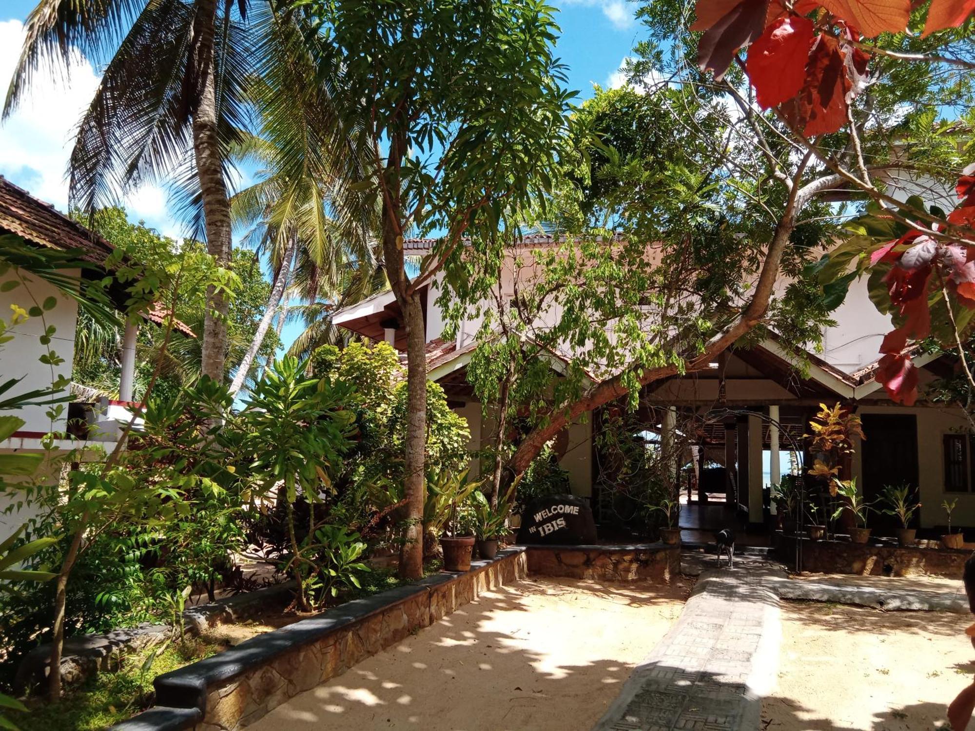 Ibisbird Beach Bungalows, Sport, Spa And Restaurant แทนกาลเล ภายนอก รูปภาพ