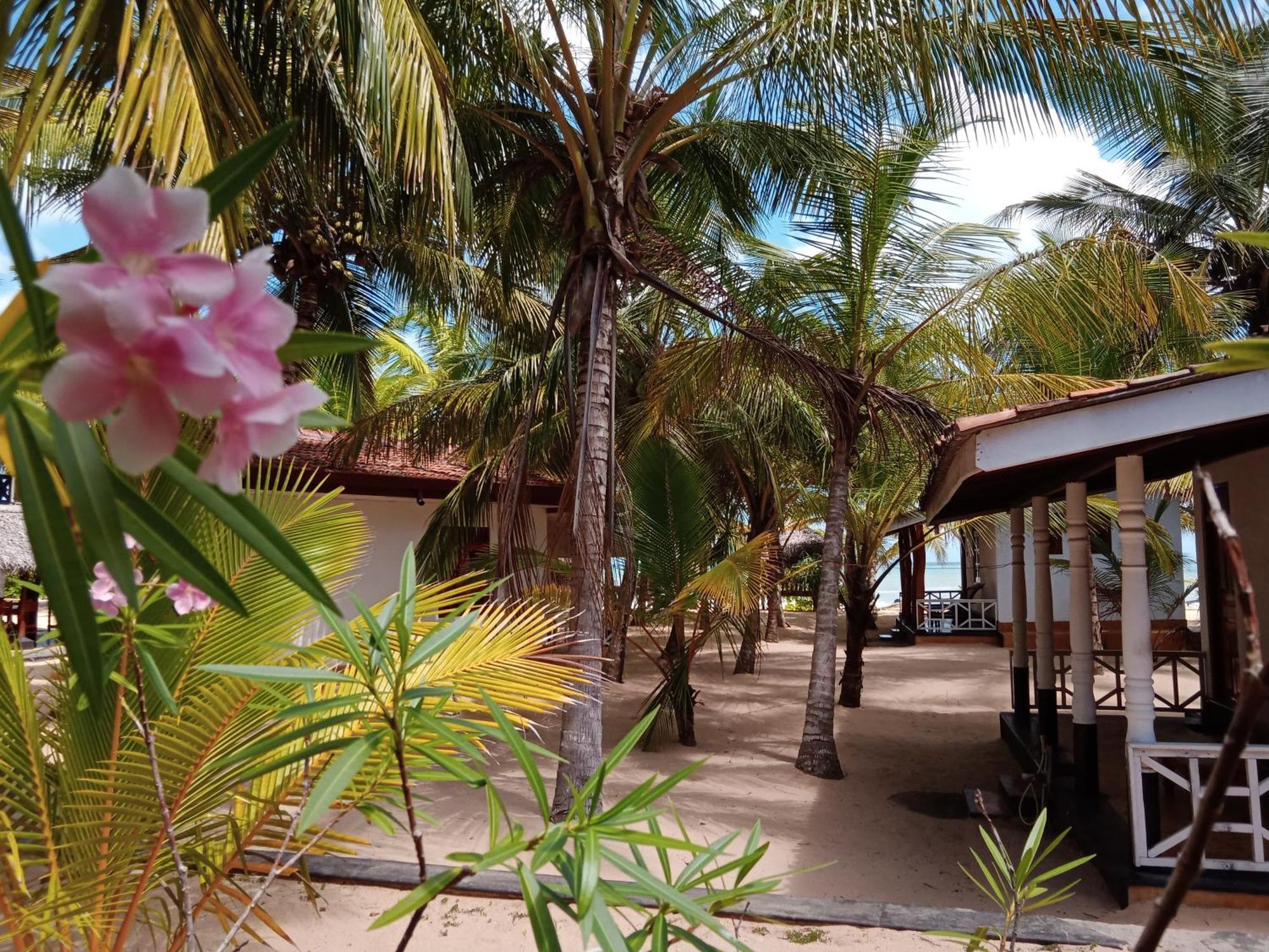 Ibisbird Beach Bungalows, Sport, Spa And Restaurant แทนกาลเล ภายนอก รูปภาพ