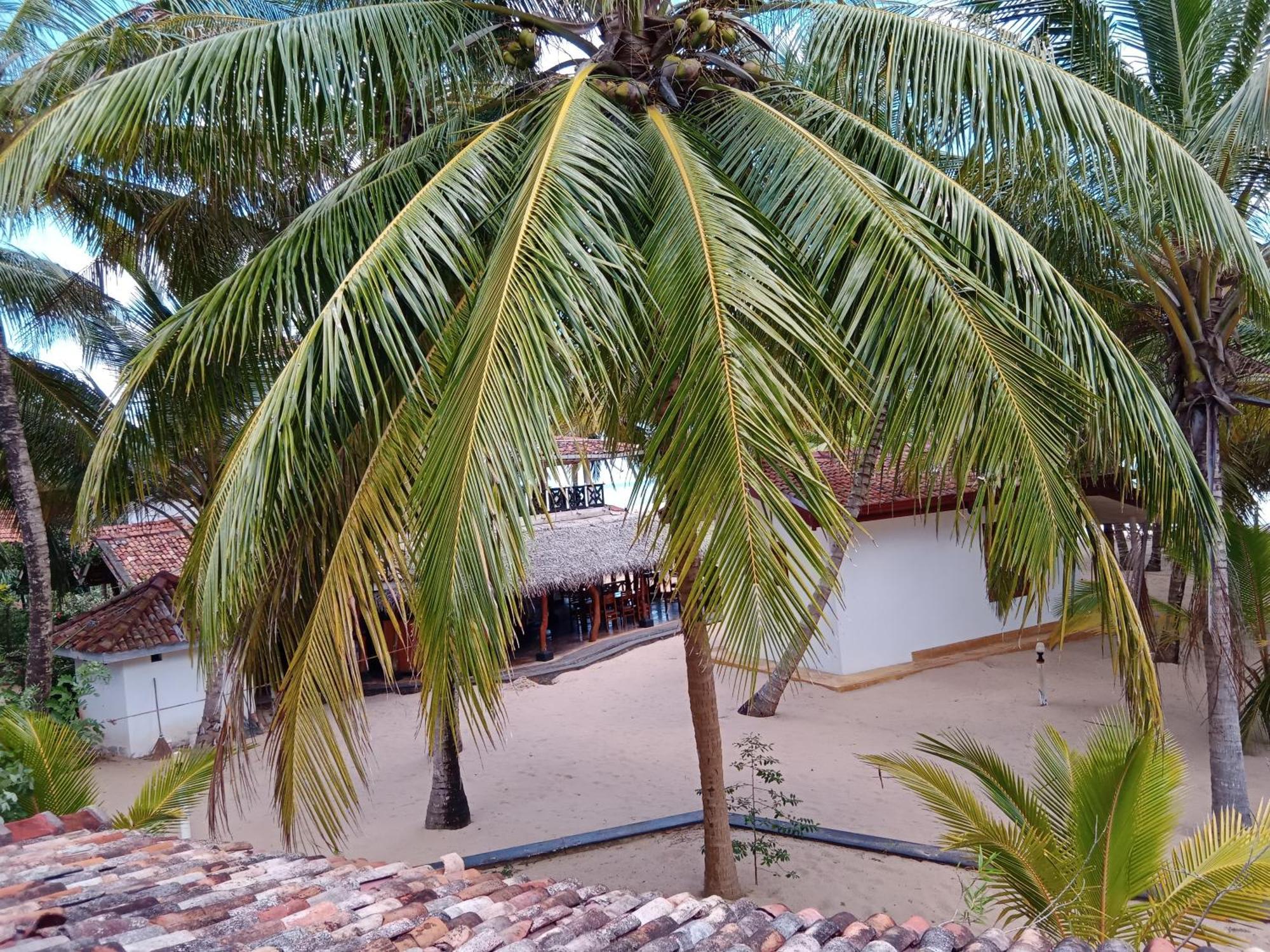 Ibisbird Beach Bungalows, Sport, Spa And Restaurant แทนกาลเล ภายนอก รูปภาพ