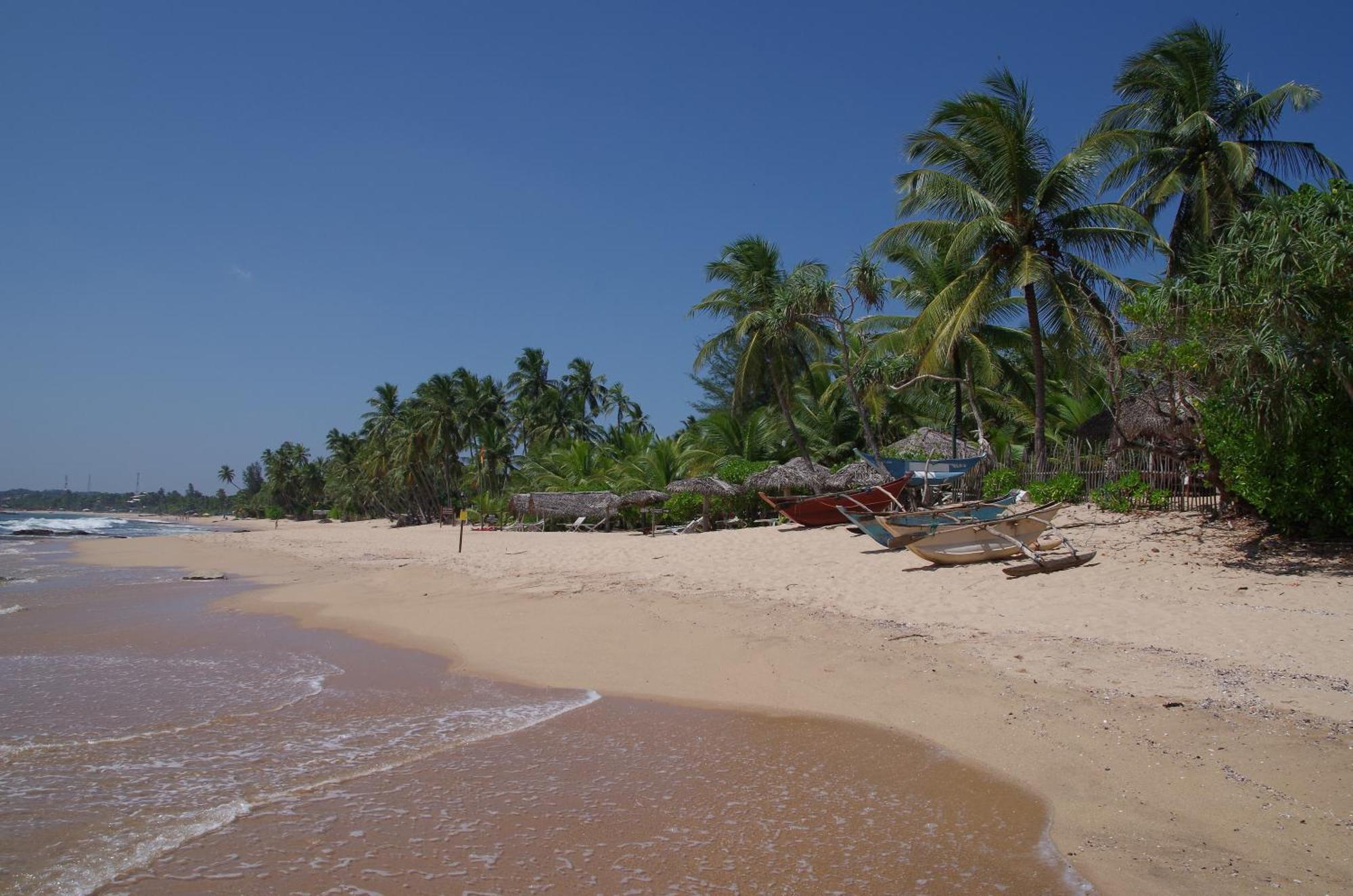 Ibisbird Beach Bungalows, Sport, Spa And Restaurant แทนกาลเล ภายนอก รูปภาพ